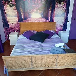 Nocleg ze śniadaniem Claudia A Monteverde